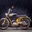 demm america van rex gildo te koop op www.boxerbasis.de
